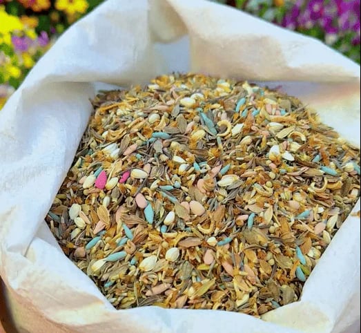 Mixed Perennial Flowers Seeds-60+ kinds mixed