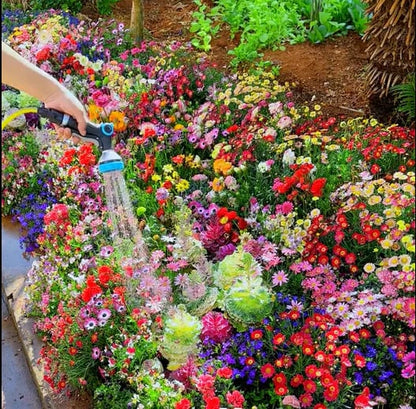 Mixed Perennial Flowers Seeds-60+ kinds mixed
