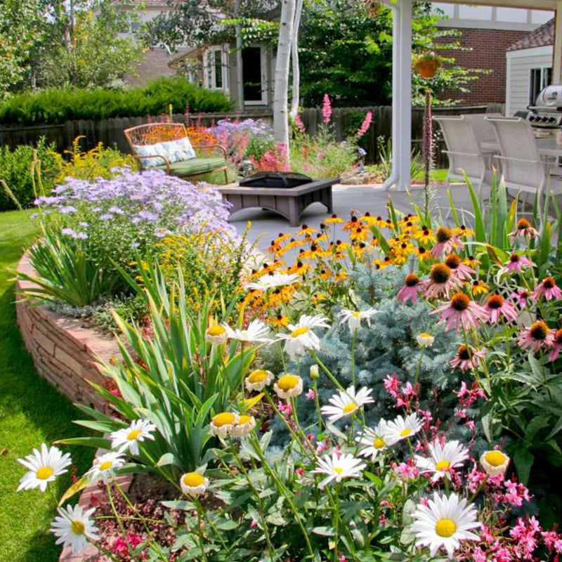 Mixed Perennial Flowers Seeds-60+ kinds mixed